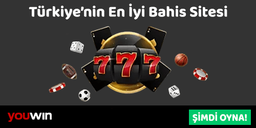 zarlar, jeton ve toplar bulunan youwin logolu animasyon